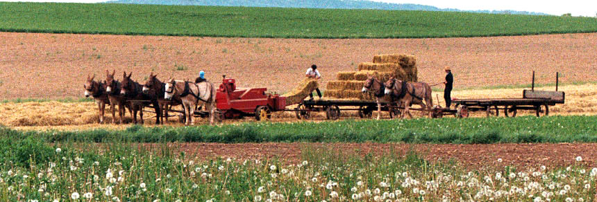 Click this photo to learn more about the Amish and their way of life