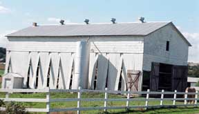 An Amish tobacco drying barn .